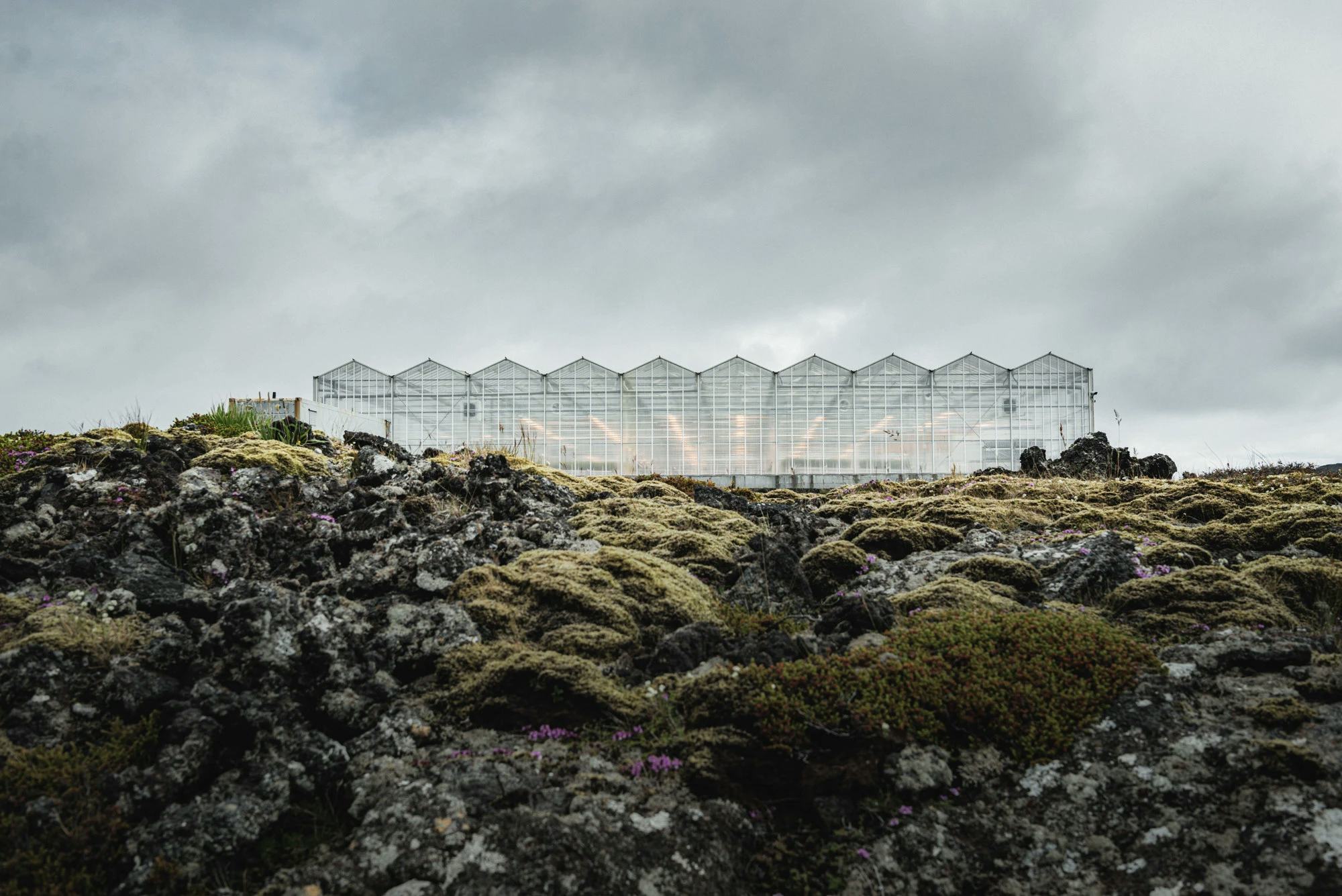 Iceland's innovations to reach net-zero